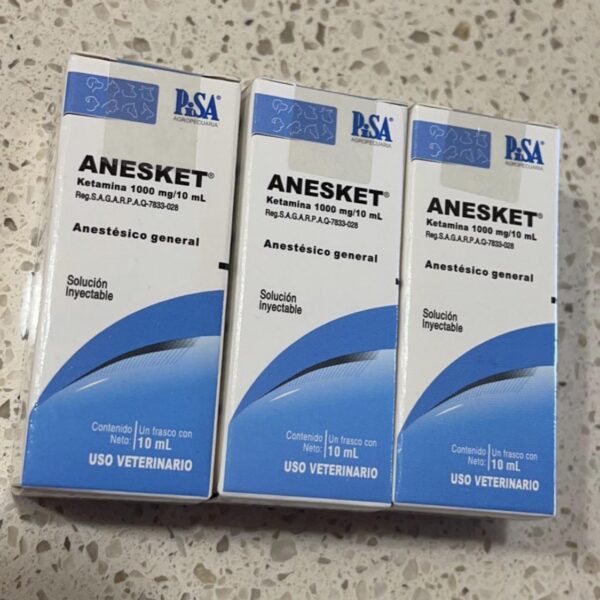 Anesket 1000mg /10ml