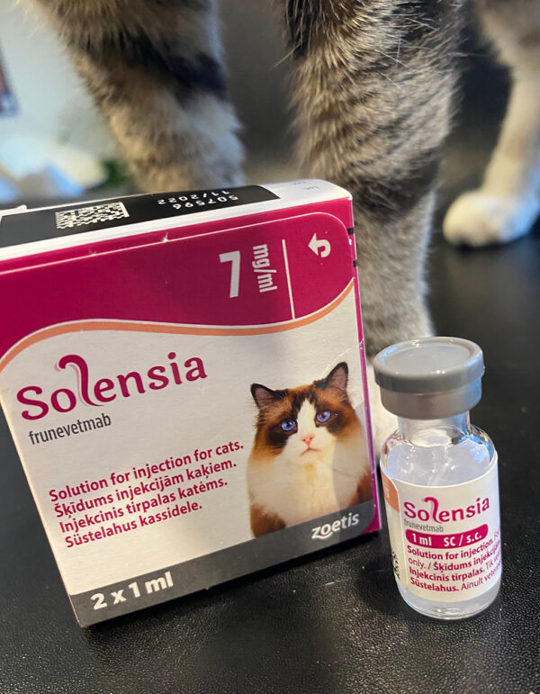 Solensia Solution for Injection for Cats 7mg/ml